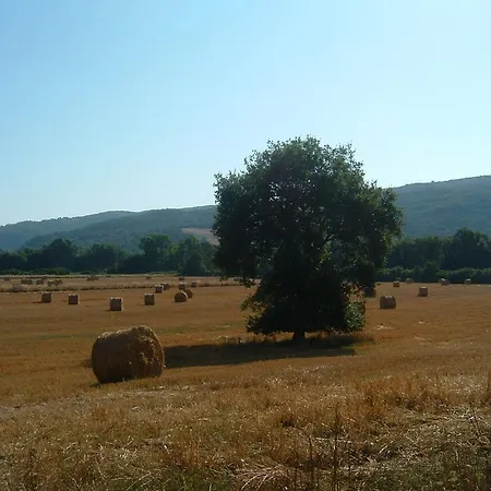 Agriturismo Il Casalino Landhaus *