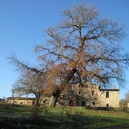 Agriturismo Il Casalino Landhaus Pari